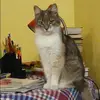Отзыв от Варвара Чернышева